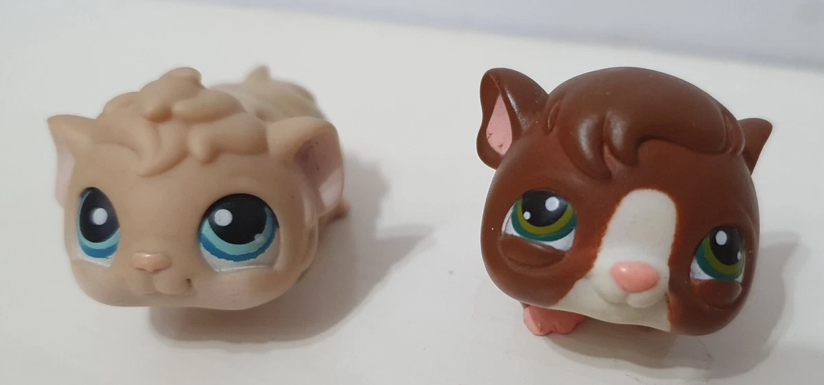 Littlest pet top shop guinea pig