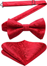 Bow Ties for Men Paisley Floral Pre-Tied Bowtie Pocket Square Set Men'S Formal B
