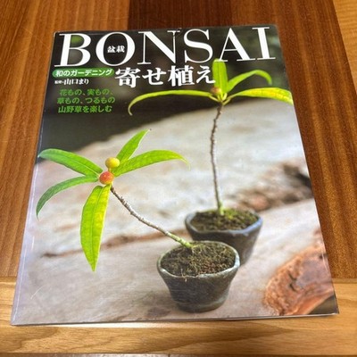 Bonsai group planting