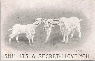 Illustrated PC Gay Interest Goats Kissing 