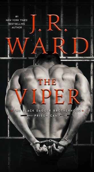 The Viper | J R Ward | Englisch | Taschenbuch | Kartoniert / Broschiert | 2023-image