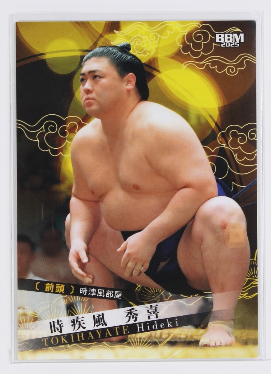 TERADA MOKEI – Modèle Architectural 1/100 – Accessoires No.57 Sumo Wrestling – Neuf