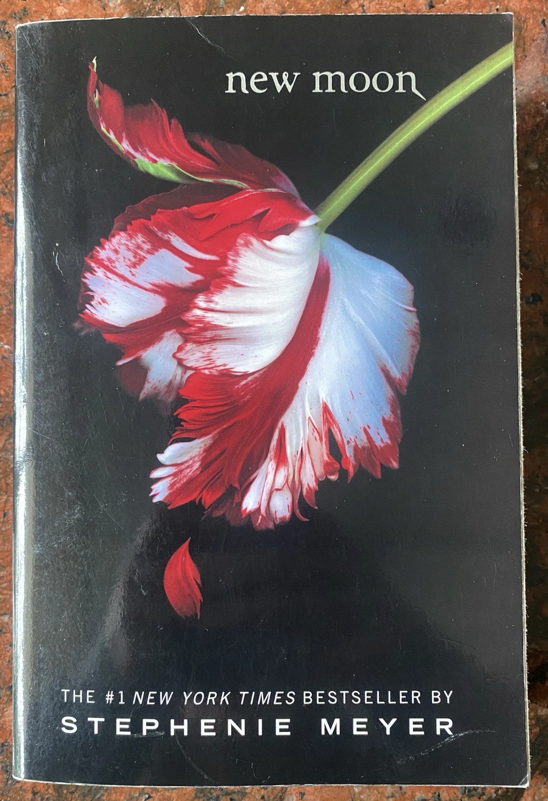 New Moon (Twilight Saga Book 2) by Stephenie Meyer Soft Cover