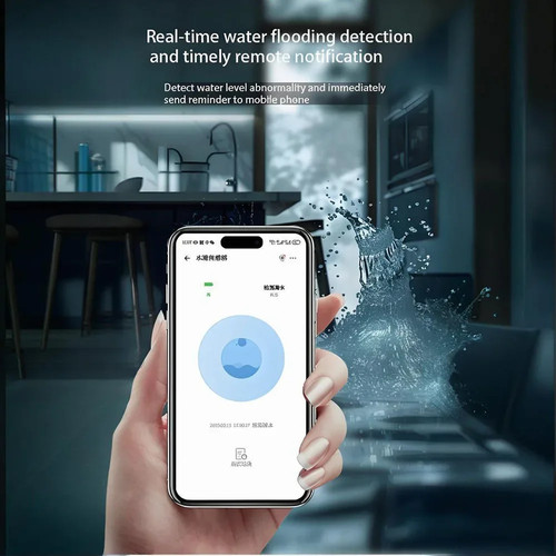 Smart Wireless Rain Sensor Outdoor Water Leak Detector Durable Zigbee Control - Picture 3 of 14