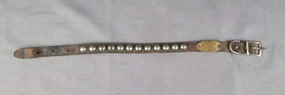 Vintage Dog Collar Leather Metal Stud Antique 1957 Iowa Brass Identification Tag - Image 2 of 4