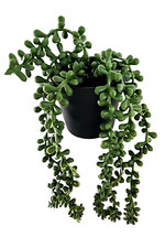 artificial faux potted succulent plants home kitchen office occasion decor