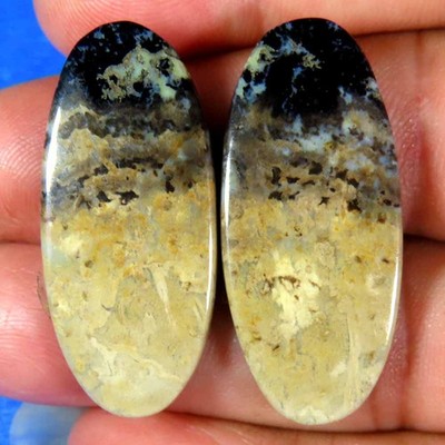 40,90 kt 100 % natürlicher Palmenwurzelachat oval Cab 15 x 34 x 4 mm königlic...