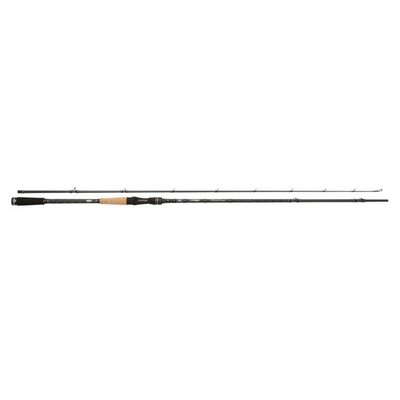 Abu Garcia Hornet Stinger Plus 751+1 H 30-80g Cast Baitcastrute