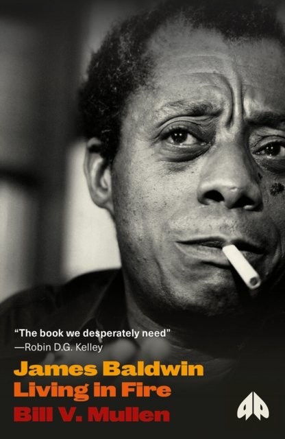 James Baldwin: Living in Fire (Revolutionary Lives) - Image 3