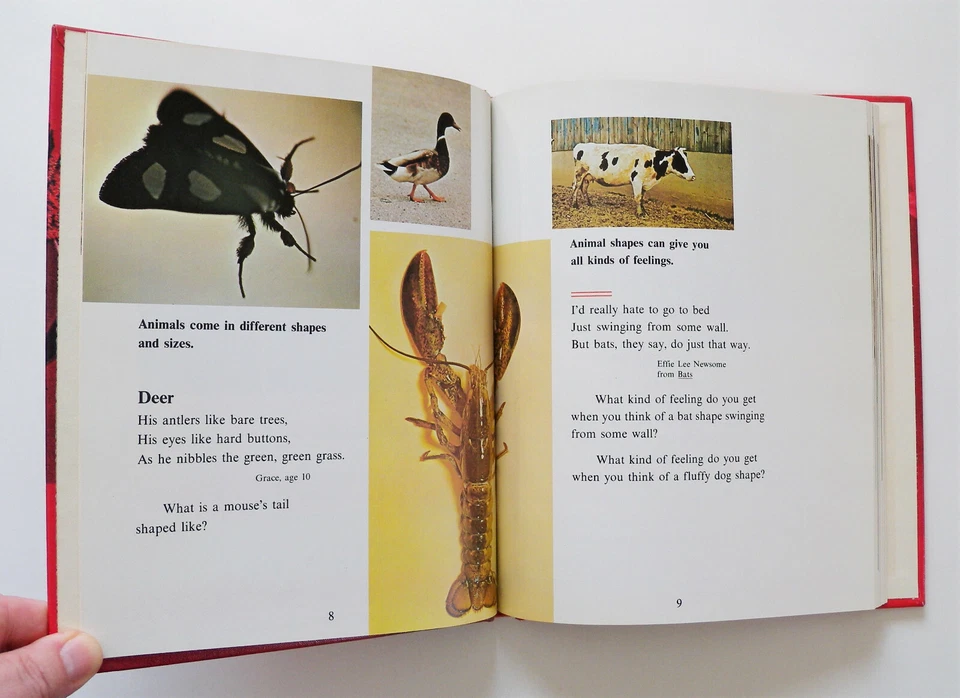 The World of Language Book E ( 1973, Hardcover, Revised) Elementary School Text - Image 4 of 4