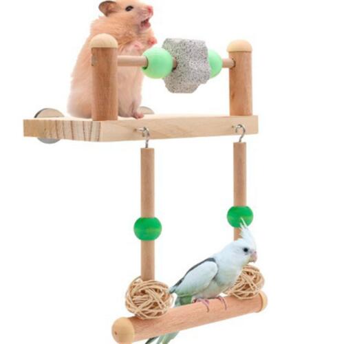 Barre de siège pour oiseaux, support suspendu cage, jouet d'exercice pour - Photo 1/7