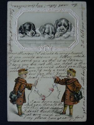 Terrier / Spaniel Hunde POSTBRIEF THEMA um 1901 geprägte UB Postkarte