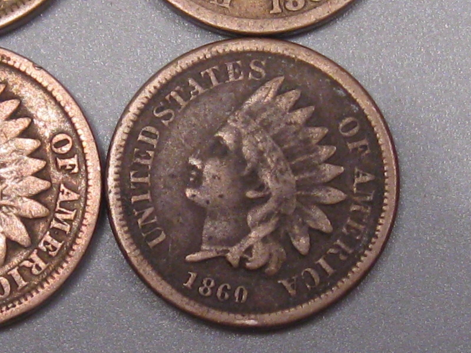 Picture 5 of 11