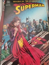 Superman Ser.: World Without a Superman by DC Comics Staff (1993, Trade Paperba…