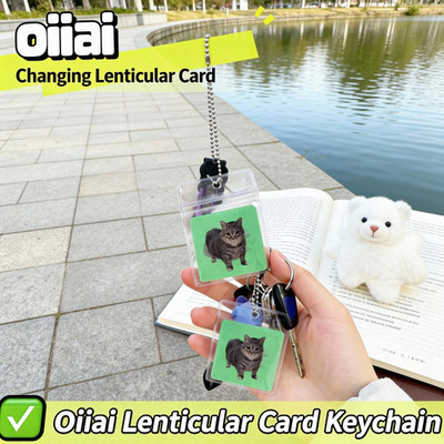 OIIAI Katze Schlüsselanhänger Key Chain Lenticular Art Spinning Car Kawaii Meme Fast