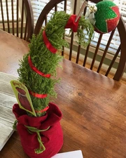 Trader Joe's Grinch Grump Tree Lemon Cypress Christmas Holiday Decoration Live