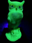 Rare Ltd Edition Fenton Art Glass Burmese Uranimum Satin Owl #444 Dane Fredrick