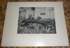 Japan Garden Columbian Exposition Horticultural Building 1893 Print 12.5 x 16.5