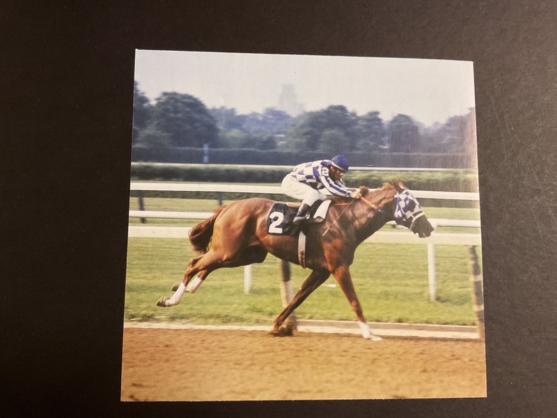 SECRETARIAT 5 Clippings  Horse Racing 1973 BELMONT STAKES