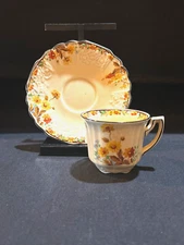 Myott Staffordshire Cup & Saucer Beautiful Multi Color Demi Mint Condition