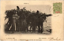 PC VIETNAM ANNAM HUÉ ELEPHANT LA CORVÉE DE FOURRAGE (a64604)