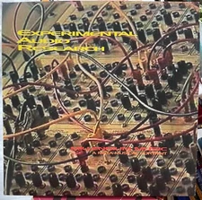 Millennium music a meta music portrait by Experimental Audio Research vinyl LP