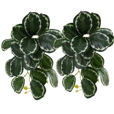 2 PCS Reptile Plants For Terrarium Calathea Makoyana Habitat Decor Gecko