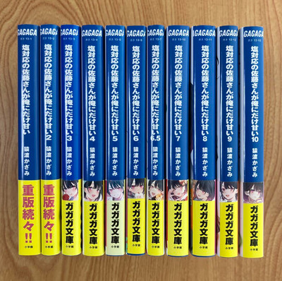 Shiotaio no Sato san Japanese Ver Light Novel Set Vol.1-10 Total 11 Books