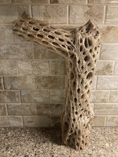 Large Cholla Wood Branch 11" , Aquarium, Aviary, Branches, Craft, Lamp, Unique,