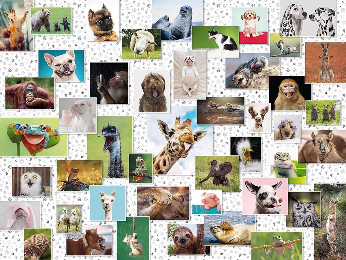 Thumbnail - Ravensburger Funny Animals Collage, 1500 Teile