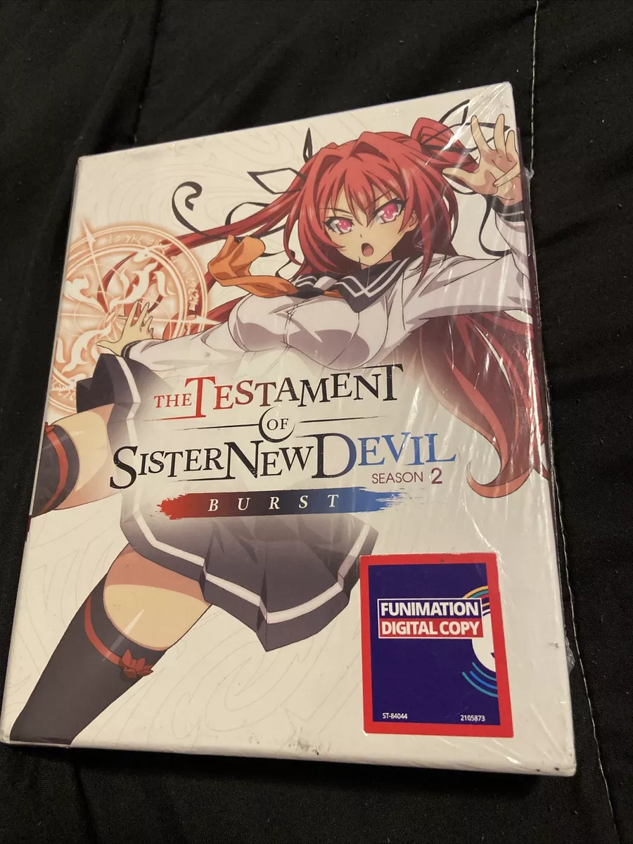 Anime Like The Testament of Sister New Devil BURST