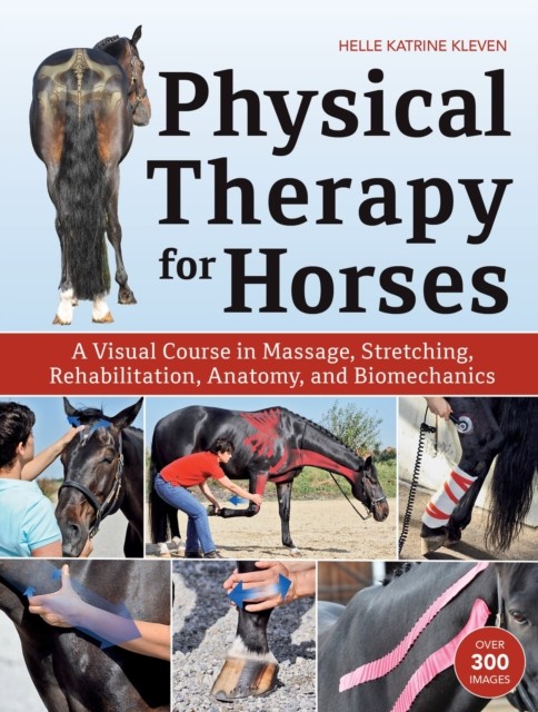 Physical Therapy for Horses by Helle Katrine Kleven (Hardback Book)