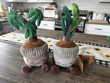 Greenhouse by Russ 12 David The Money Tree Plush Plant Casey Fiddle Tree