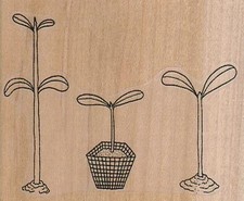 Three Seedlings 2 3/4 x 2 1/4" Rubber Stamp, Plants Stamp, Nature Stamp