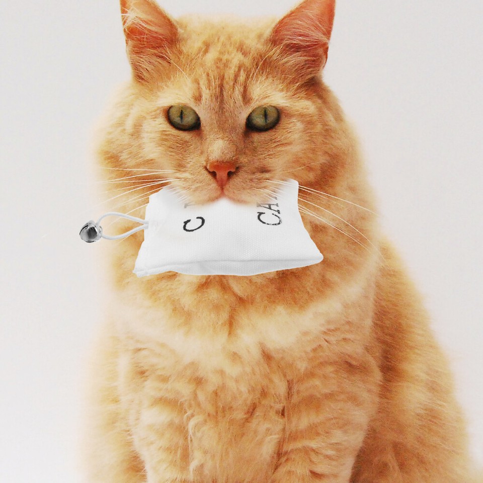 3 Pcs Bag Toy Giant Sack of for Pet Bonding Entertainment eBay