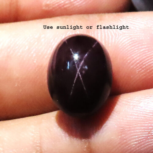 100% Natürlich Star Granat Cabochon Oval Form Edelstein 16.95 CT 10x15x8 MM ER63