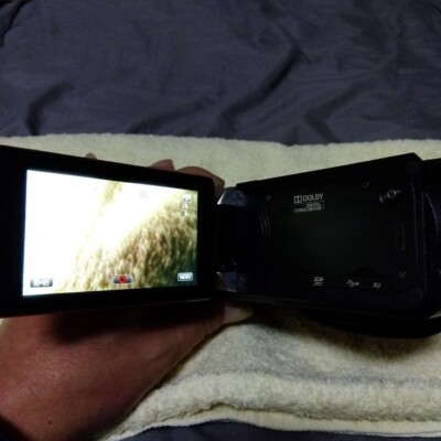 JVC GS-TD1-B Hand Camera Full HD 3D Everio Camcorder Black