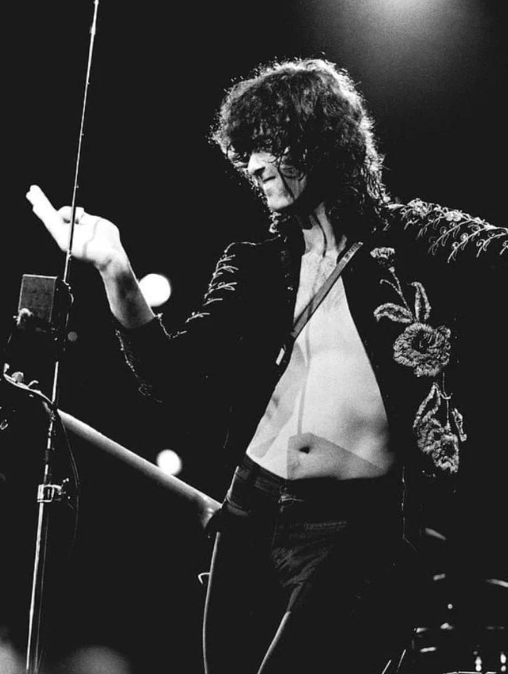 Erehamo Theremin Screw Upper Jimmy Page With Minor Scratches Limited Edition Rar - Image 2 of 4