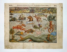  on The Hot Collector