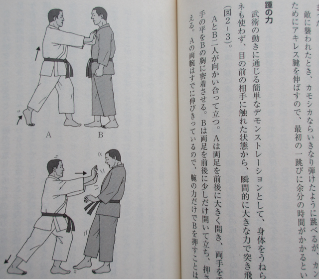 Budo Bujutsu Secret Science Martial Arts Techniques Body Movement Book