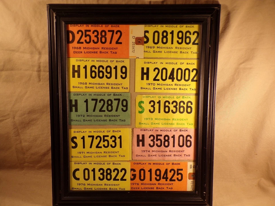 Lote de etiquetas de licencia de caza de ciervos de juego pequeño residente de Michigan vintage años 60 70 decoración Foto 3 de 4