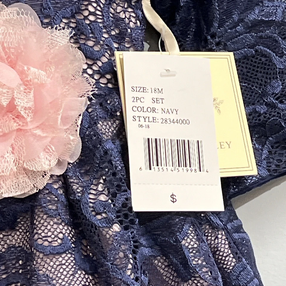 Vestido Laura Ashley London Bebé Niñas 18M Azul Encaje Superpuesto Rosa Tule Boda Foto 3 de 4