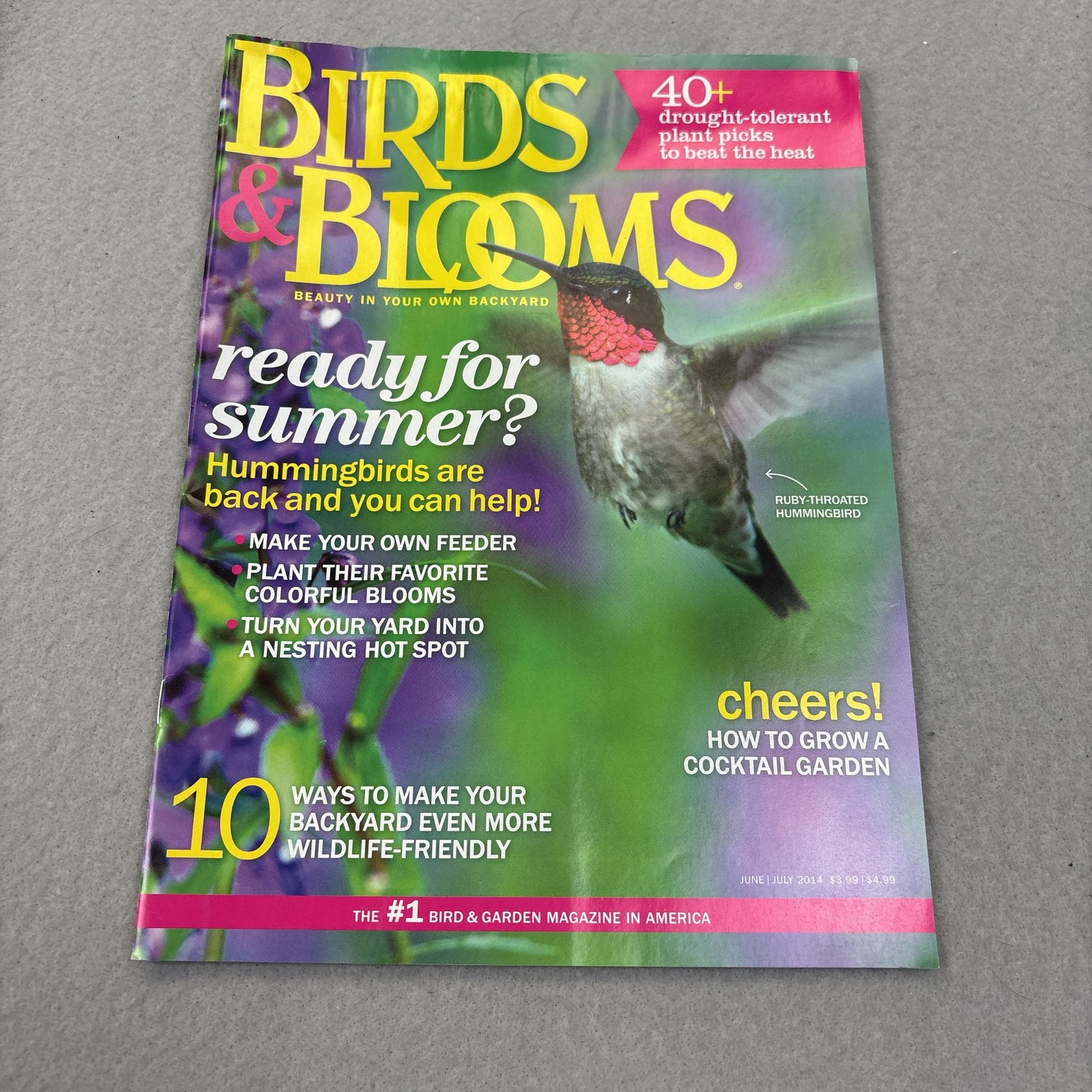 Birds & Blooms Magazine June/July 2014 Illustrated Softcover Green Cover USA