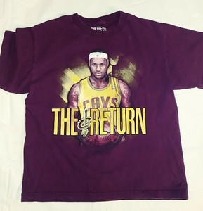 lebron james the return