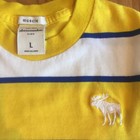 Lot of 3 ABERCROMBIE KIDS Boys L Tee Shirt Stripe T-shirt Moose Logo 100% Cotton — photo 3