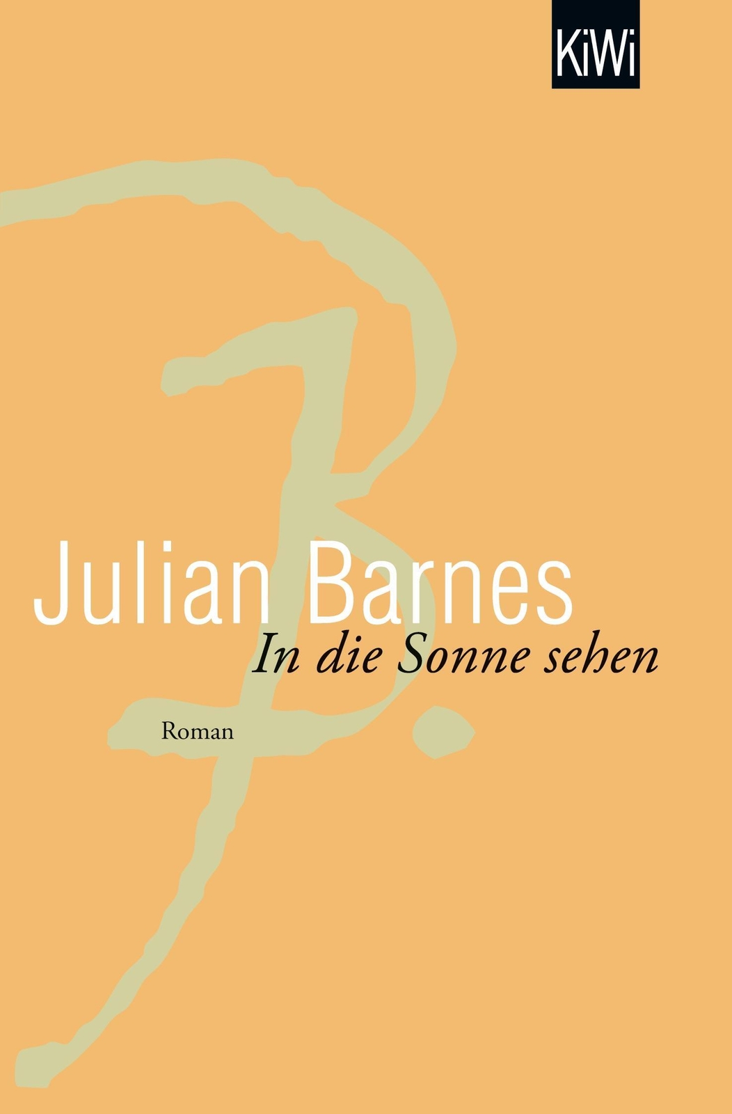 Thumbnail - Julian Barnes | In Die Sonne Sehen | Taschenbuch | Deutsch (2006) |