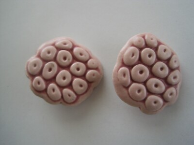 Earrings Clip Brain Cells Amoeba Wood 1 1/4'' Vintage