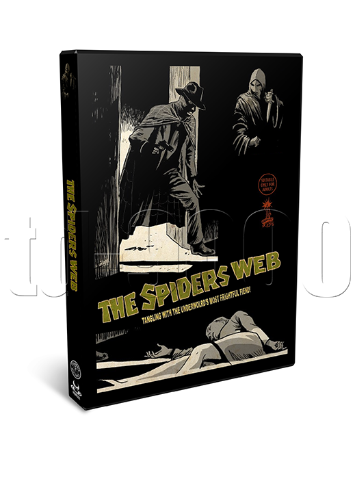 The Spider's Web (1938) 15 Chapter Columbia Movie Serial Cliffhanger (2 x DVD)