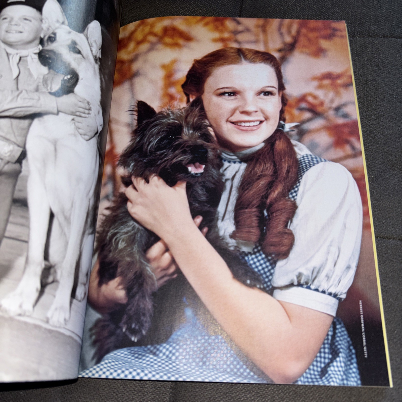 Life Magazine Dogs Why we need them. Why they need us M209 | eBay