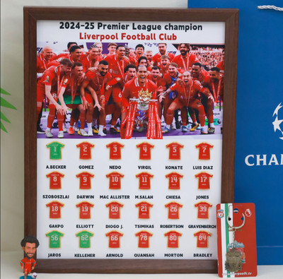 Soccer star Premier League Champion Jersey Pin Badge Display Frame Brown Frame
